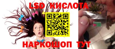 сатива Кандалакша