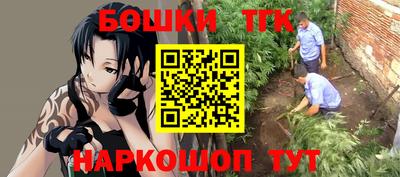 ПСИЛОЦИБИНОВЫЕ ГРИБЫ Камышлов