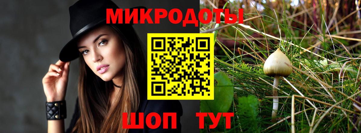Лосино-Петровский  Псилоцибиновые грибы мицелий  Вход с VPN 